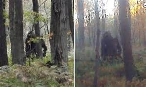 With a report from. . Bigfoot sightings near me